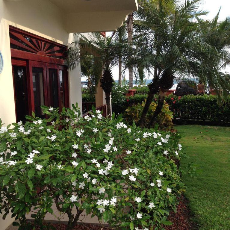 Bahia Azul 3A Villa Jaco Exterior photo